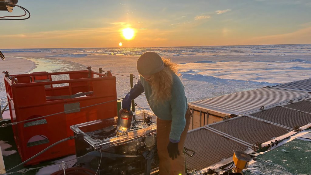 Scientists just found hidden life thriving beneath the Arctic ice | ScienceDaily