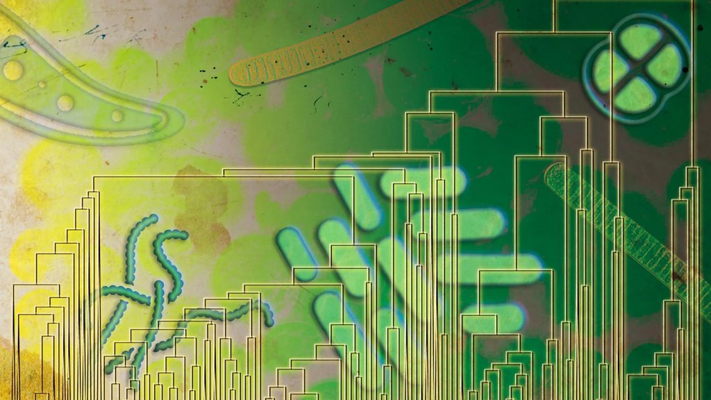 Ancient microbes may have used oxygen 500 million years before it filled Earth’s atmosphere | ScienceDaily