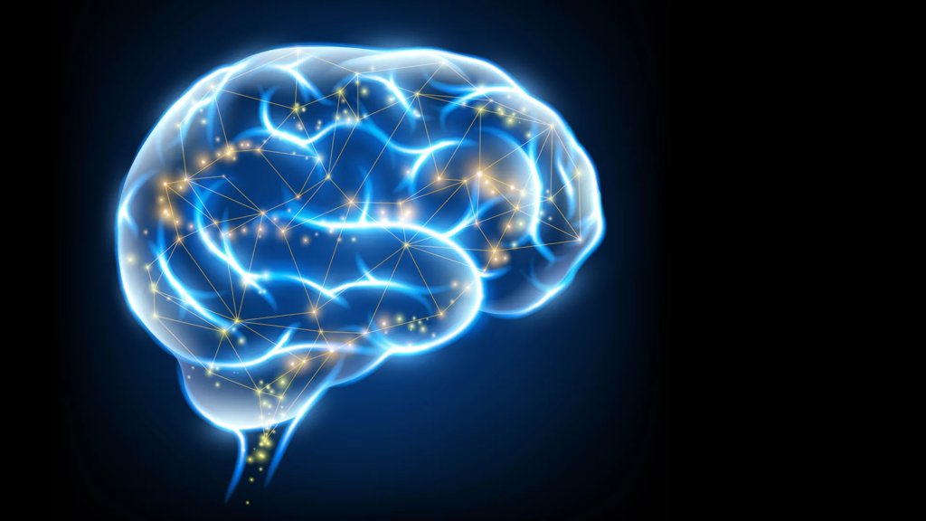 Supercharged vitamin k could help the brain heal itself | ScienceDaily