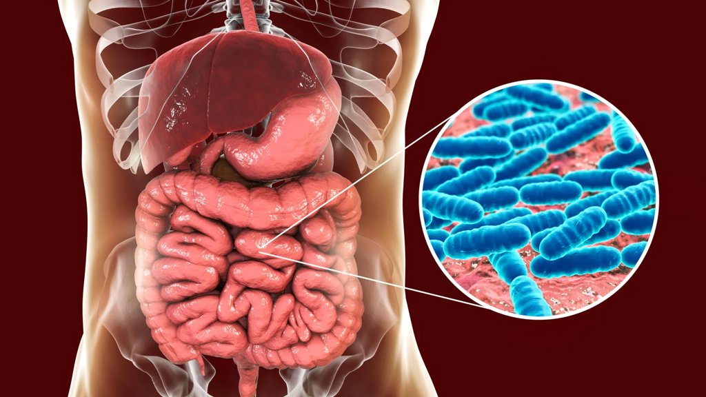Your roommate’s genes may be shaping your gut bacteria | ScienceDaily