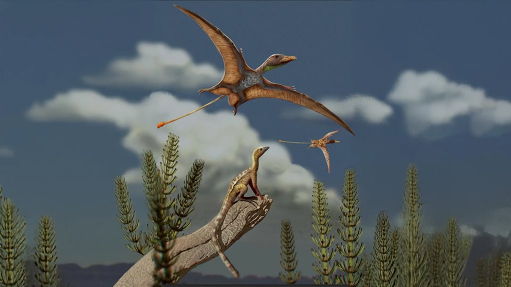 Fossil brain scans show pterosaurs evolved flight in a flash | ScienceDaily