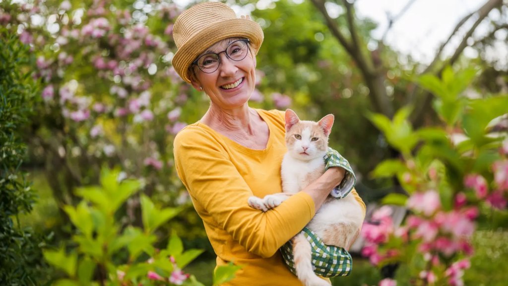 The surprising cancer link between cats and humans | ScienceDaily