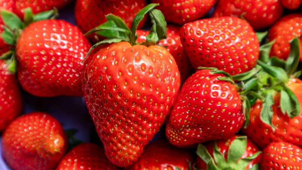 DNA time stamps reveal the strawberry’s surprising origins | ScienceDaily