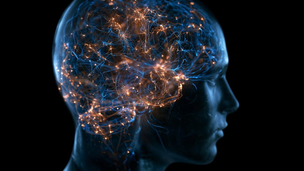 Scientists discover a major brain shift between ages 50 and 75 | ScienceDaily
