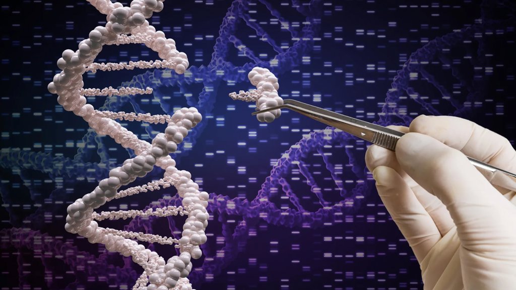 MIT&rsquo;s new precision gene editing tool could transform medicine | ScienceDaily
