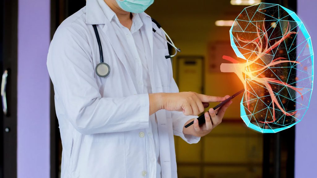 A surprising discovery reveals the kidney has a secret backup system | ScienceDaily