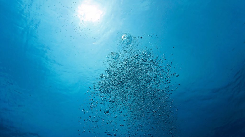 The oxygen you breathe depends on a tiny ocean ingredient | ScienceDaily