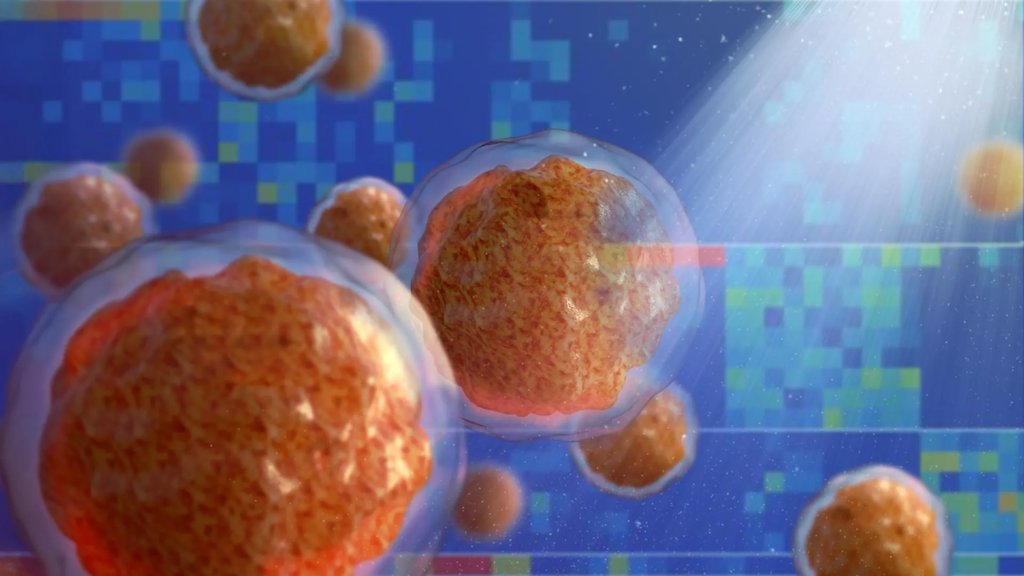 Inflammation turns bone marrow into a breeding ground for disease | ScienceDaily