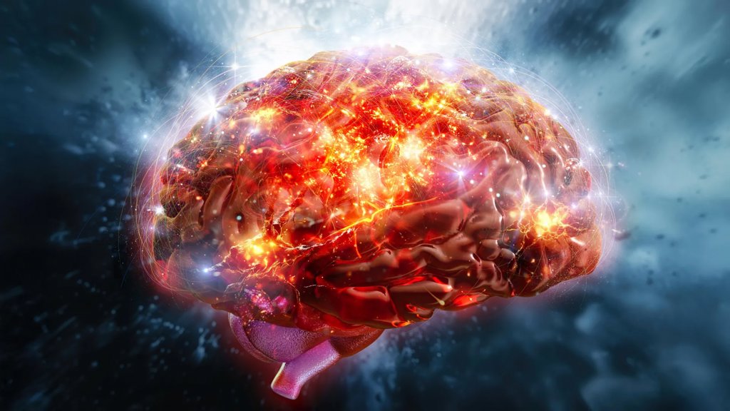 That dry, bitter taste may be waking up your brain | ScienceDaily