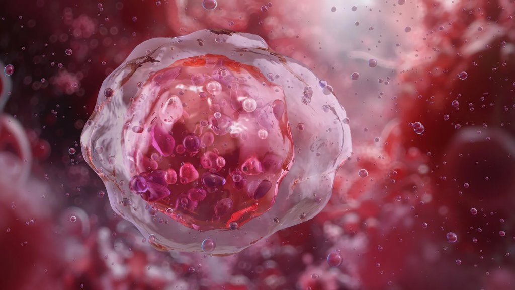 Triple therapy sparks a powerful immune attack on leukemia | ScienceDaily