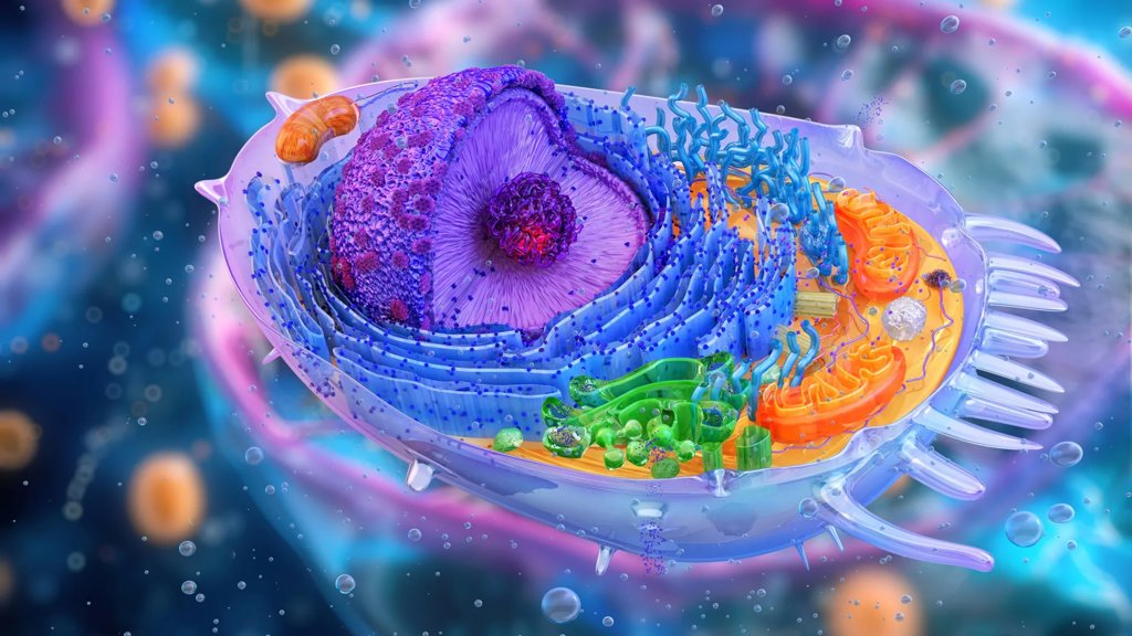 DOLPHIN AI uncovers hundreds of invisible cancer markers | ScienceDaily