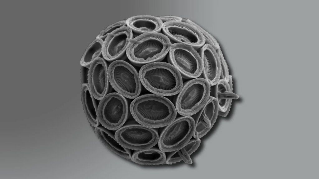 They&rsquo;re smaller than dust, but crucial for Earth&rsquo;s climate | ScienceDaily