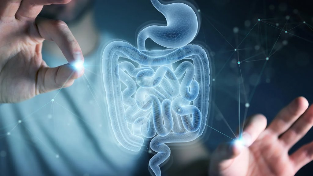 MIT discovers amino acid that helps the gut heal itself | ScienceDaily