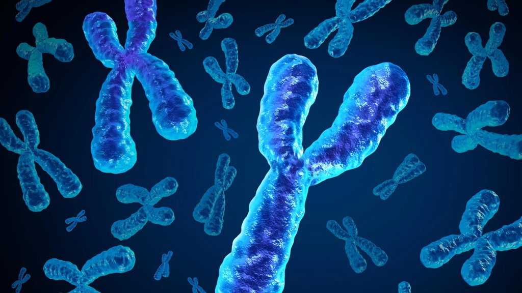 Men are losing a key chromosome with age and it may be deadly | ScienceDaily