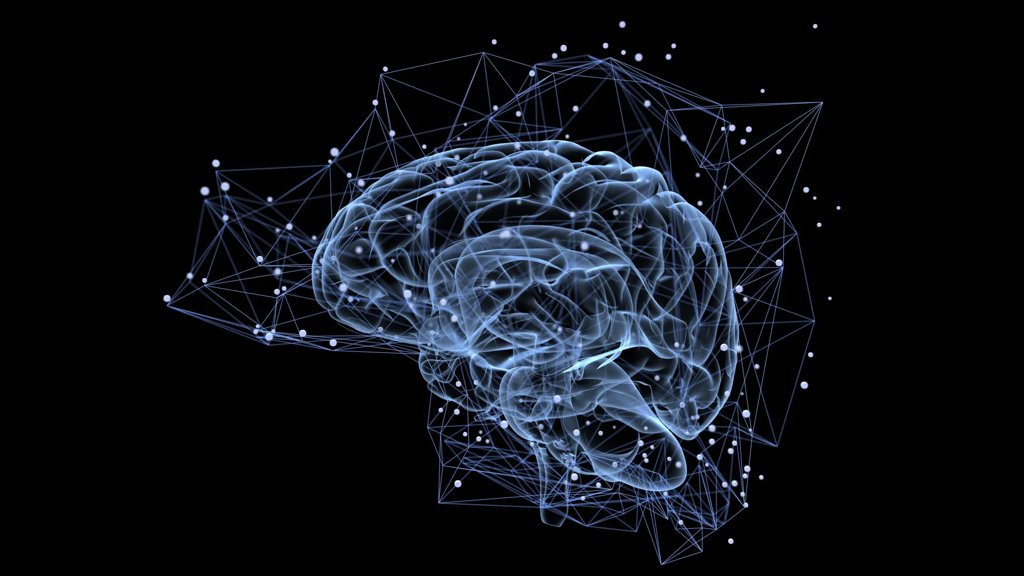 Why some memories last a lifetime while others fade fast | ScienceDaily