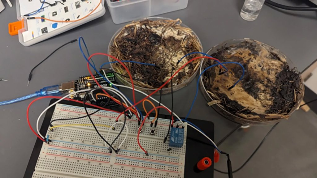 Living computers powered by mushrooms | ScienceDaily