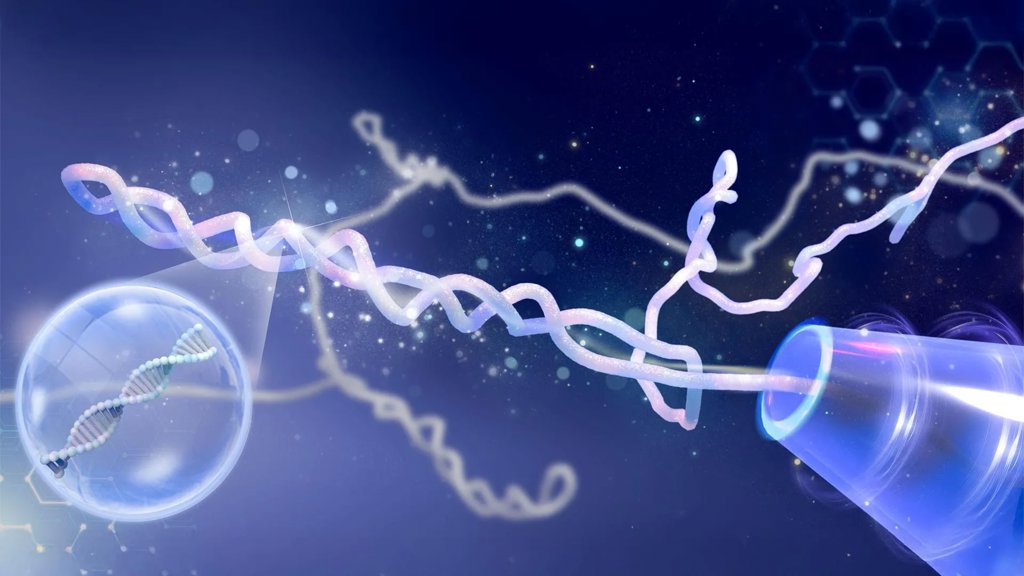 Scientists were wrong for decades about DNA knots | ScienceDaily