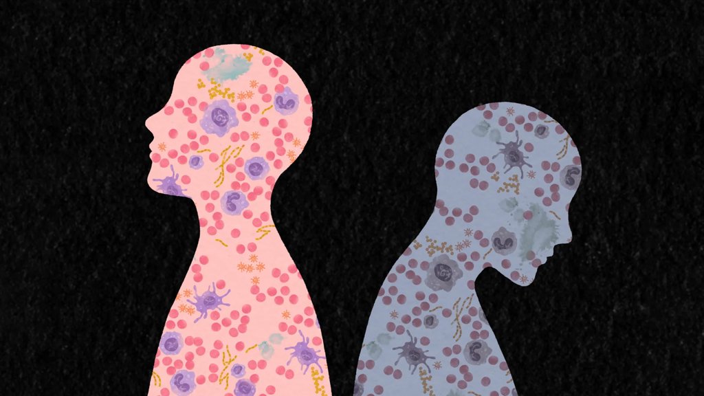 Scientists discover how life experiences rewrite the immune system | ScienceDaily